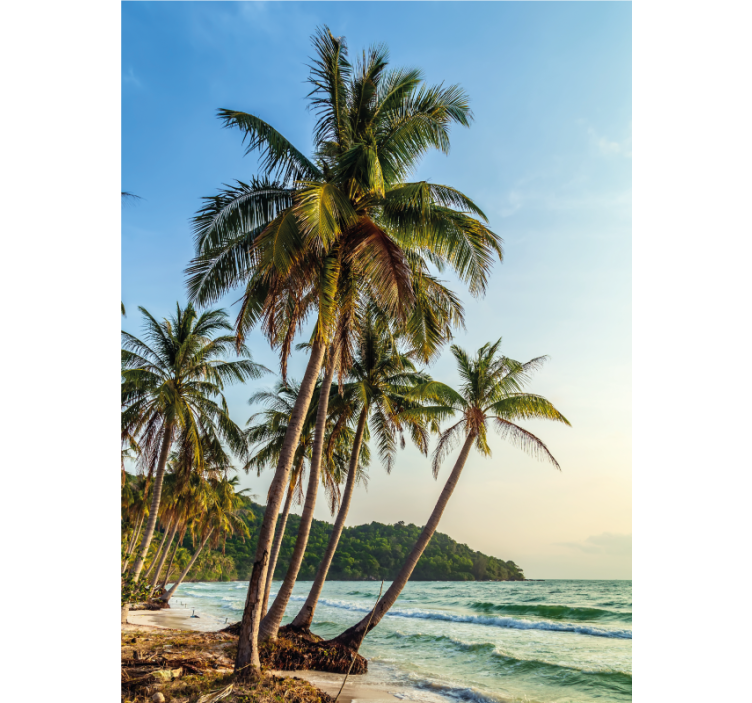 Toile fenêtre salle de bain palmiers sur la plage - TenStickers