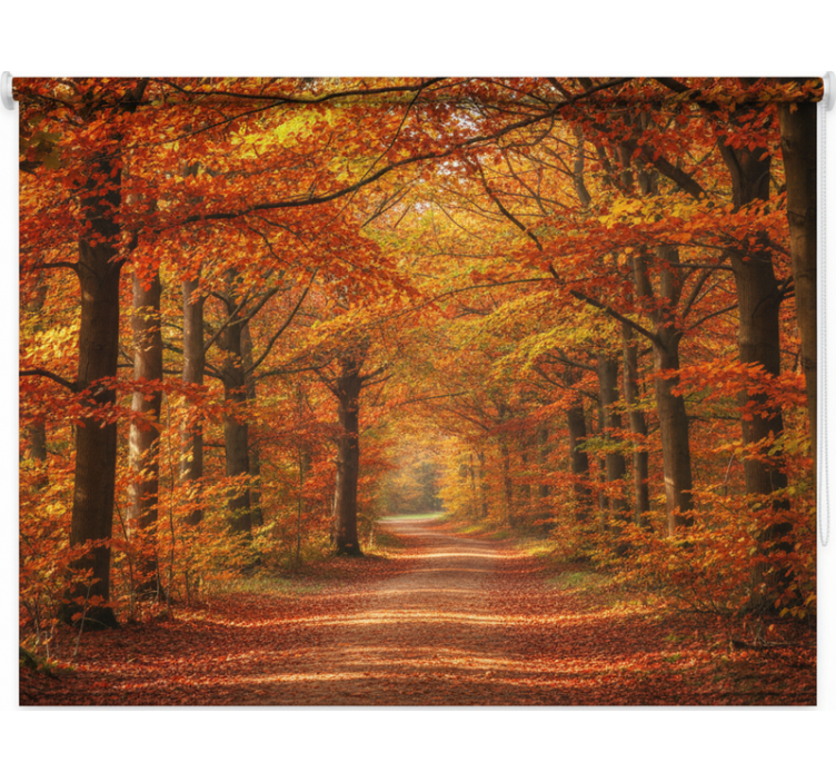 Toile fenêtre arbre chemin d'arbre en automne - TenStickers