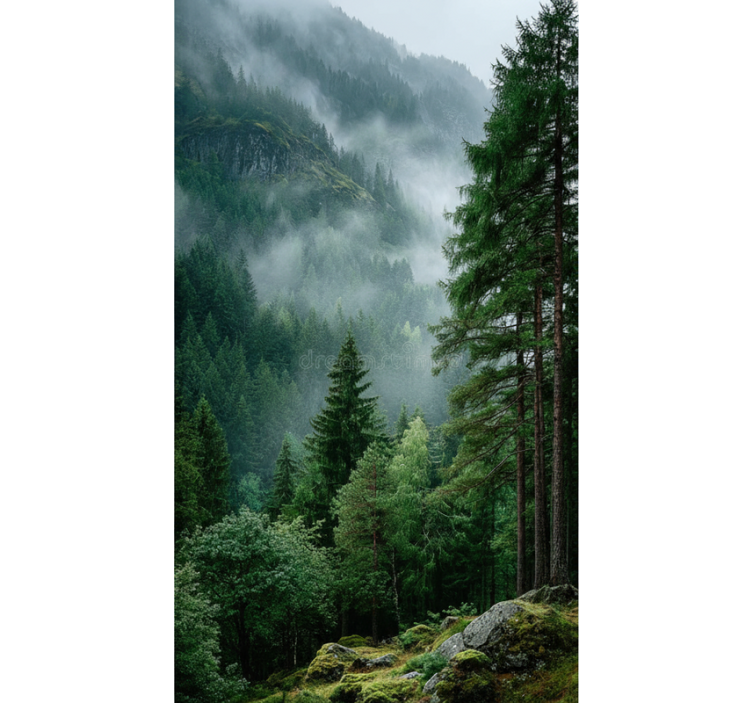Toile fenêtre arbre le choix mélancolique - TenStickers