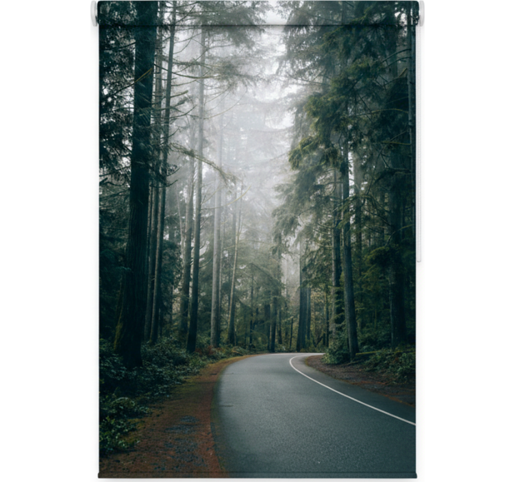 Toile fenêtre arbre route des pins brumeux - TenStickers