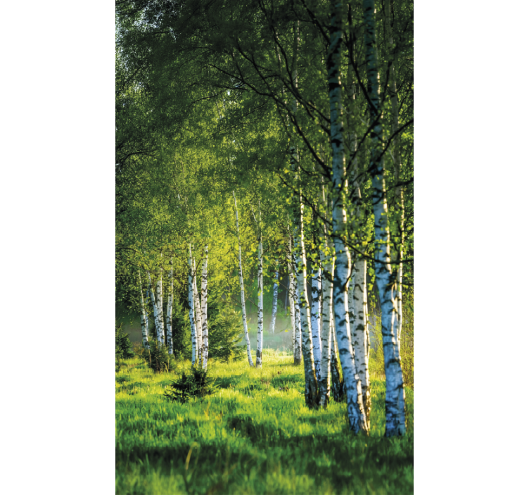 Toile fenêtre arbre bosquet de bouleaux moderne - TenStickers