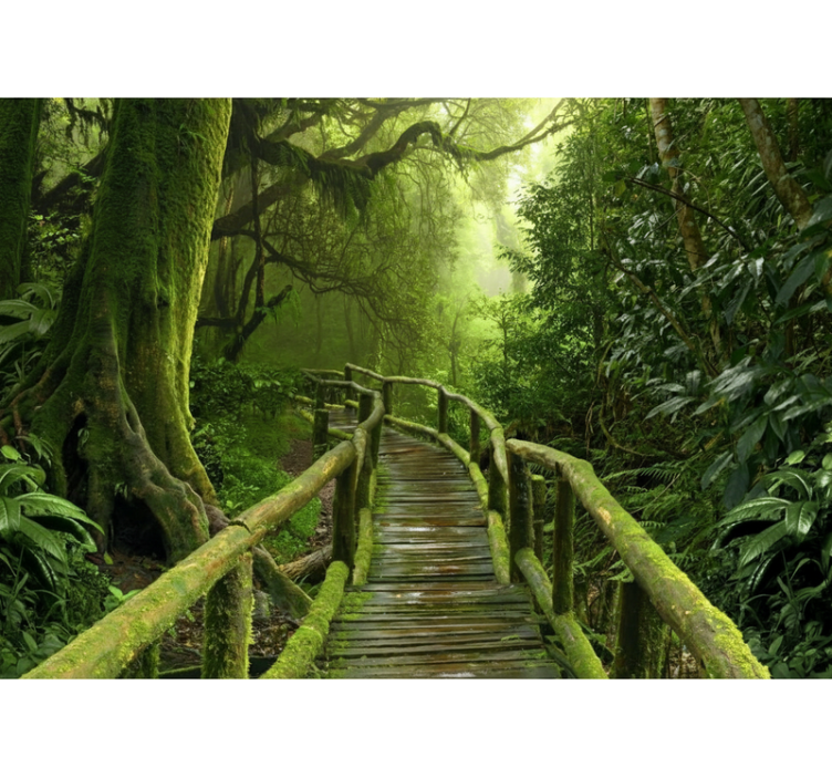 Toile fenêtre arbre chemin verdoyant luxuriant - TenStickers