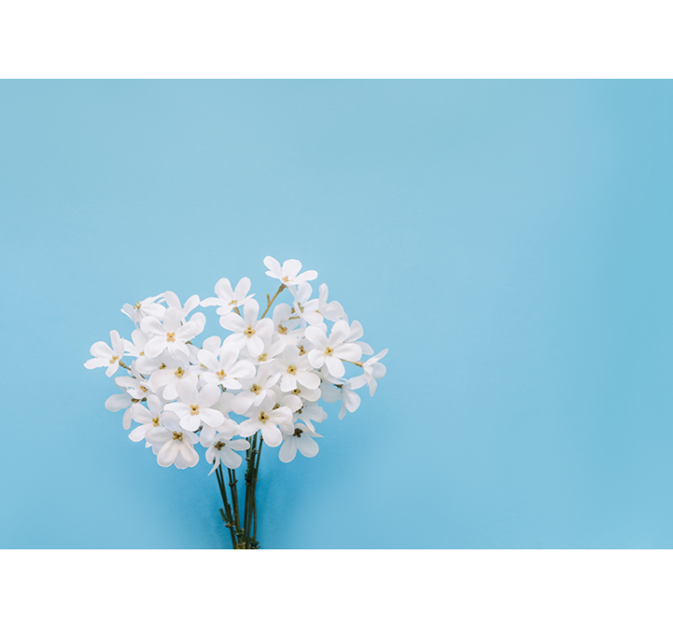 Toile fenêtre bleu fond jazmin bleu - TenStickers