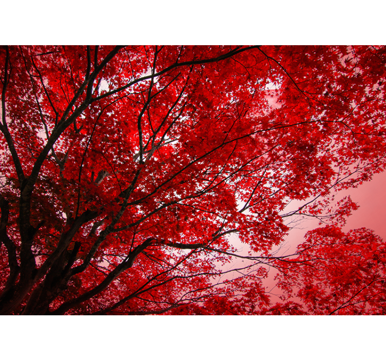 Toile fenêtre rouge branches rouges - TenStickers