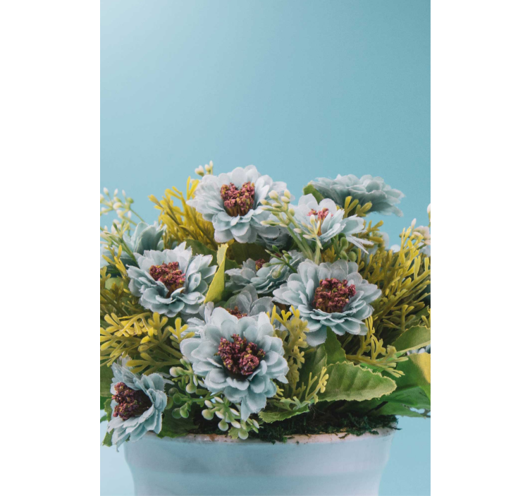 Toile fenêtre fleurs et plantes arrangement succulent - TenStickers