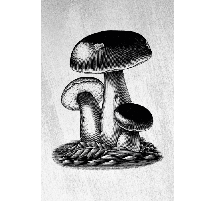 Toile fenêtre fleurs et plantes l'élégance des champignons - TenStickers