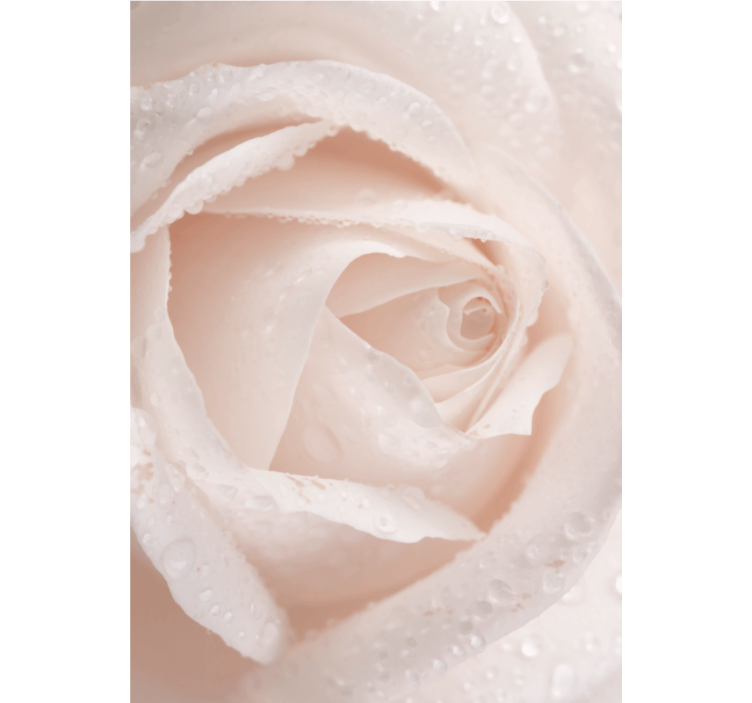 Toile fenêtre fleur pétale de rose délicat - TenStickers