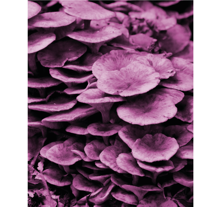 Toile fenêtre fleurs et plantes couches florales vibrantes - TenStickers