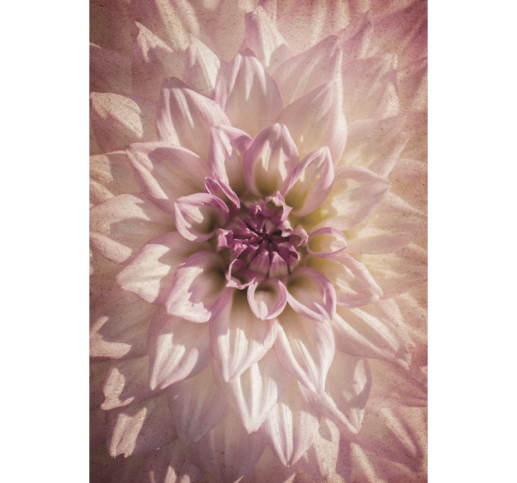 Toile fenêtre fleurs et plantes floraison délicate - TenStickers