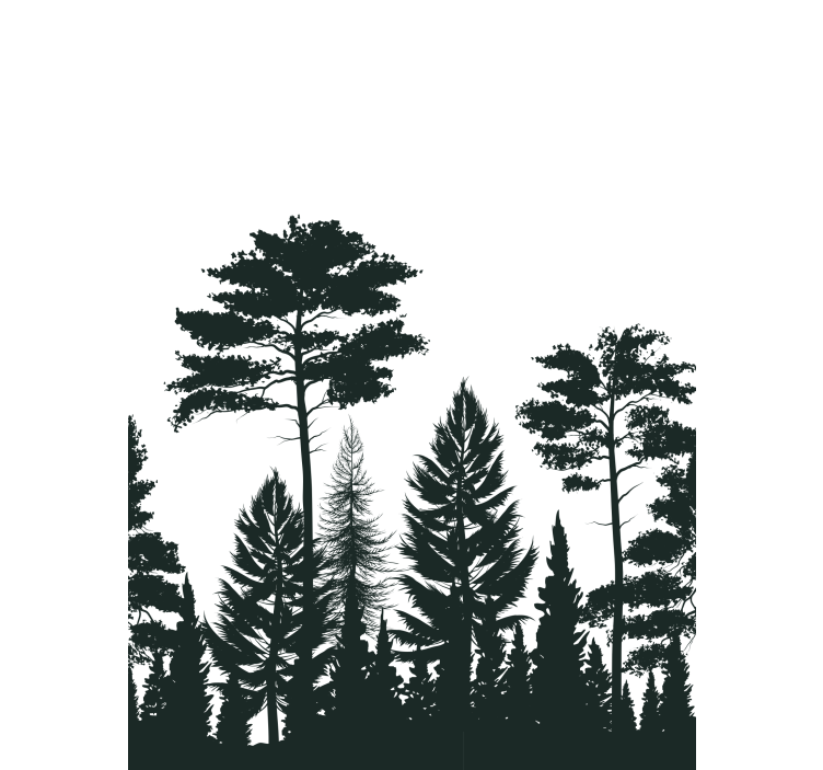Toile fenêtre arbre scène de forêt en silhouette - TenStickers