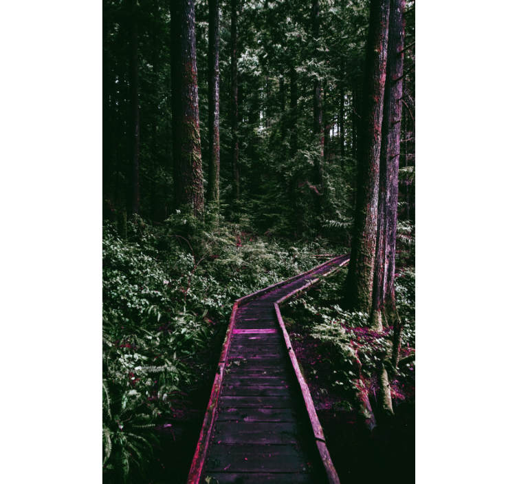 Toile fenêtre arbre sentier forestier - TenStickers