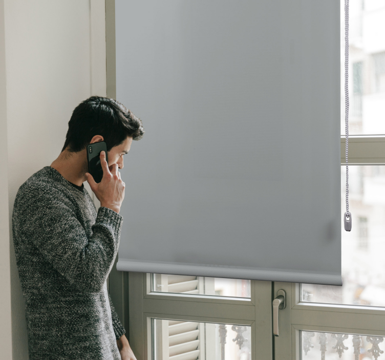 Toile fenêtre opaque rouleau gris élégant - TenStickers