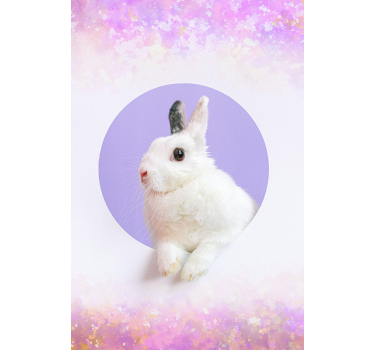 Store plus d'animaux Lapin - TenStickers