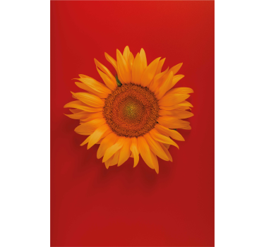 Stores avec fleurs Tournesol orange rouge - TenStickers