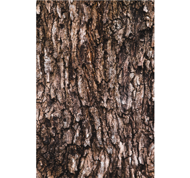 Stores couples écorce d'arbre réaliste - TenStickers