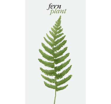 Stores avec phrase Fougère plante minimaliste - TenStickers