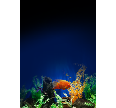 Store plus d'animaux Vie d'aquarium - TenStickers