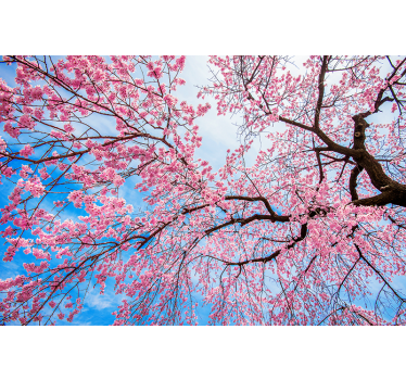 Toile fenêtre fleurs et plantes branche de sakura - TenStickers