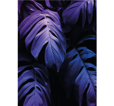 Stores plus de fleurs et plantes Feuille exotique au néon - TenStickers