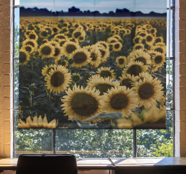 Stores avec fleurs Champ de fleurs de soleil - TenStickers