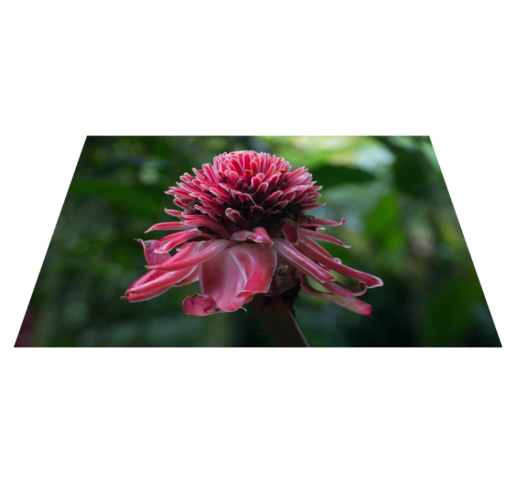 Set de table original arrangement floral tropical - TenStickers