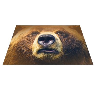Set de table en autre couleur Visage d'ours - TenStickers