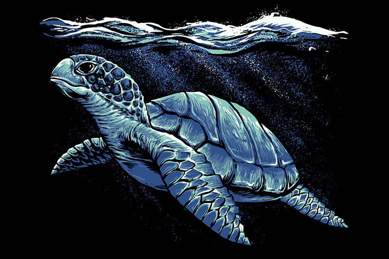 set de table tortue Tortue dessin à la main - TenStickers