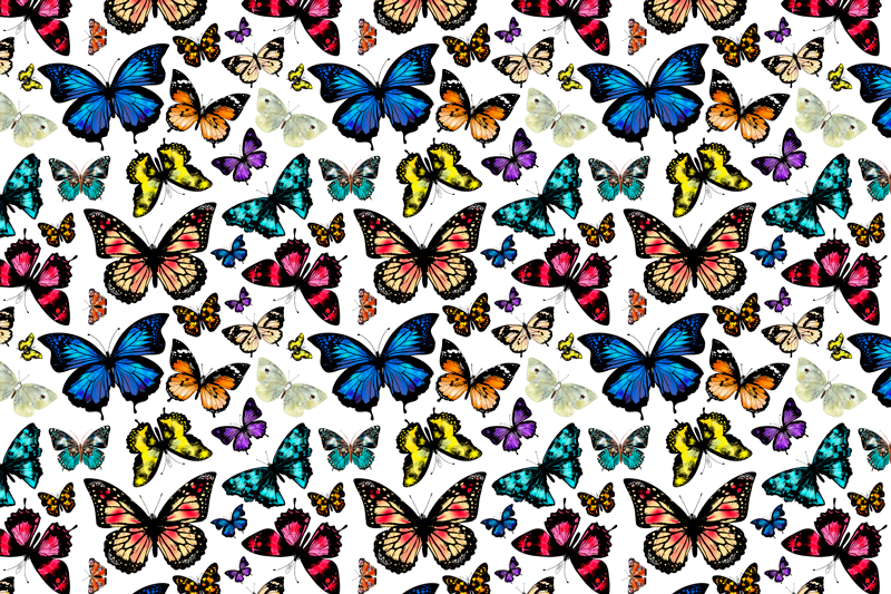 set de table papillon beaux et colorés - TenStickers
