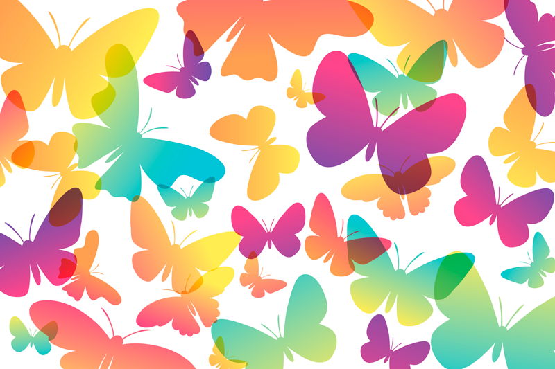 Set de table enfant motif de papillon vibrant - TenStickers