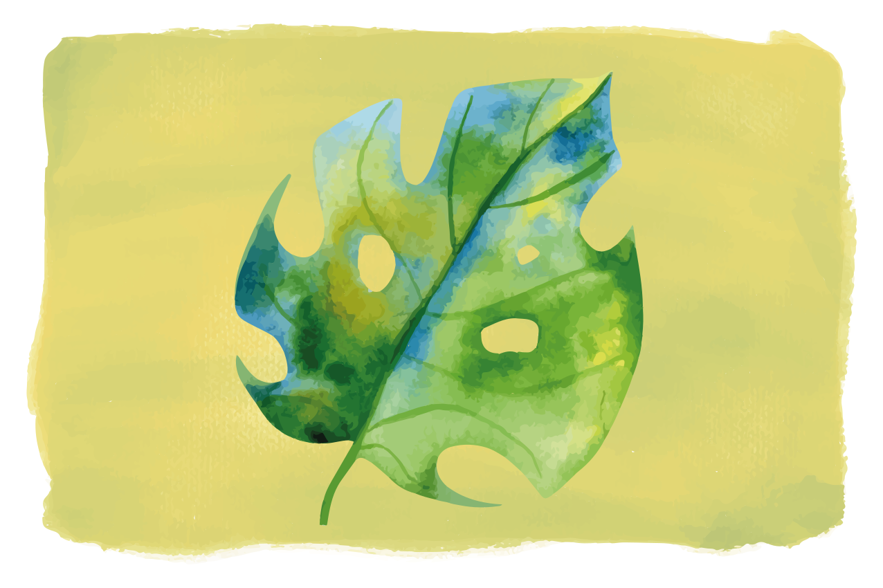 Set de table original feuille de monstera - TenStickers