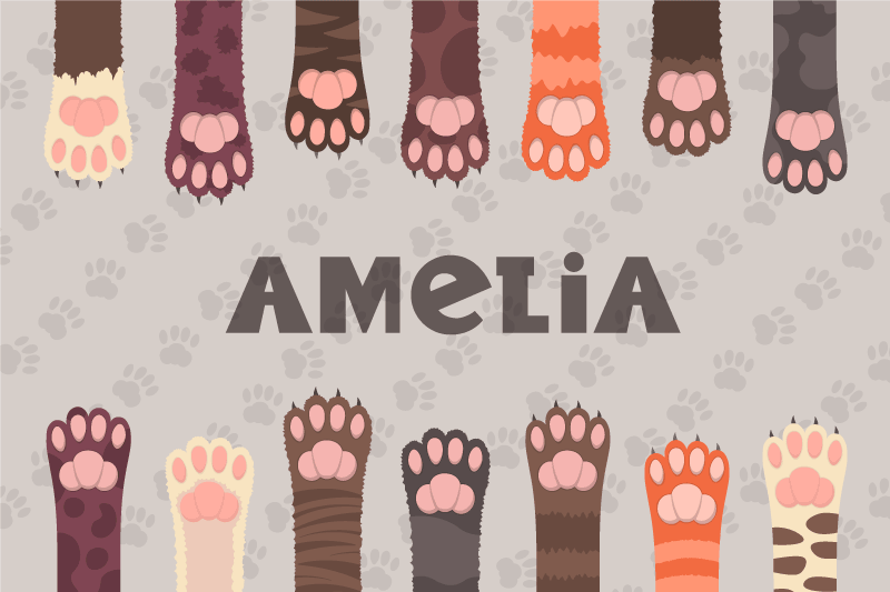 Set de table Prénom pattes chats multicolores - TenStickers