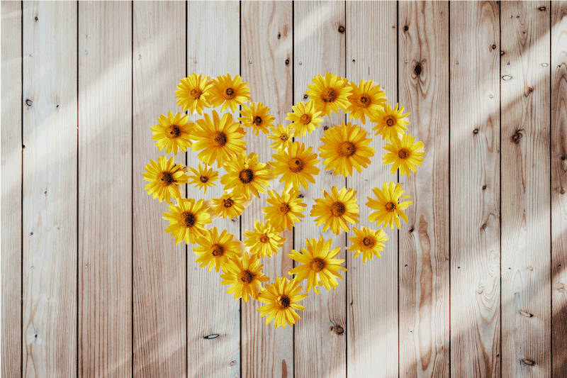 Set de table Marguerite en cœur et texture bois - TenStickers