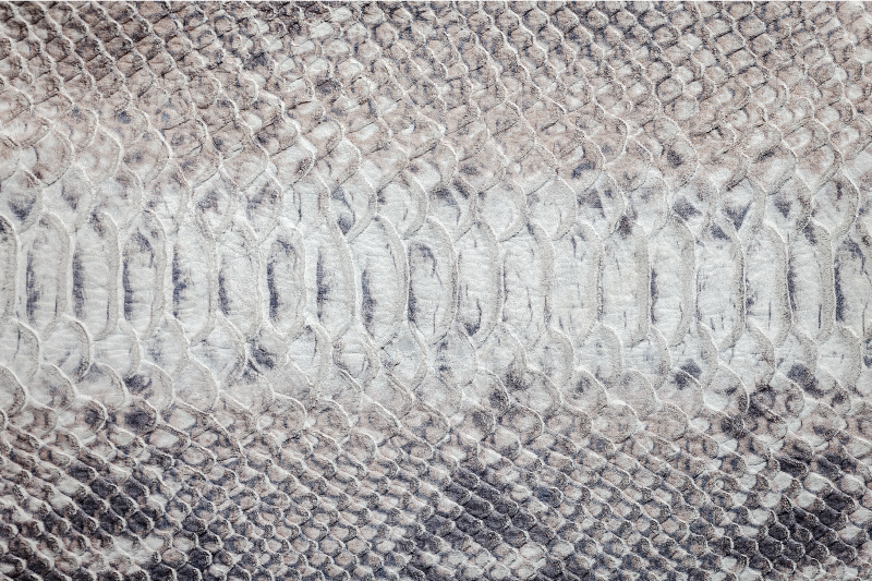 Set de table texture peau de serpent - TenStickers