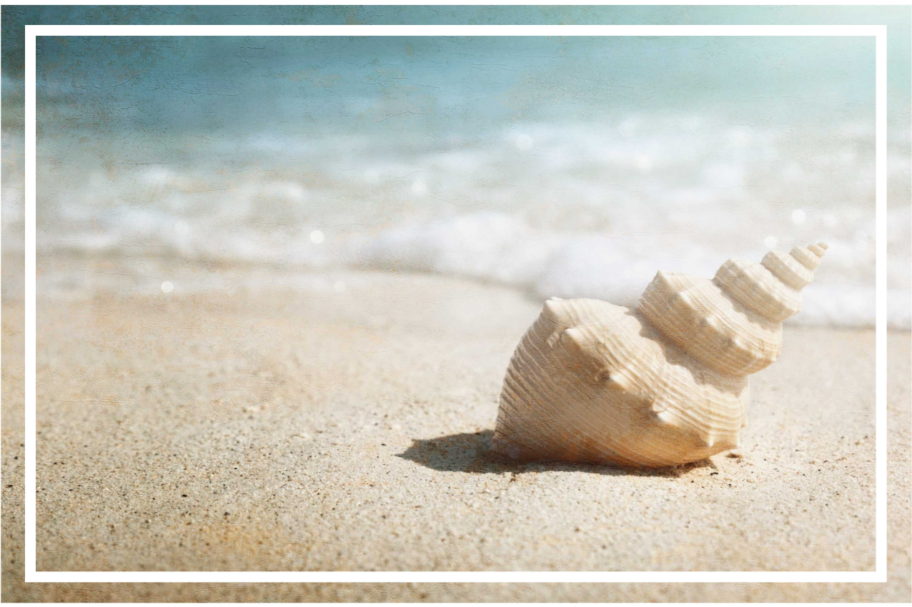 Set de table original présentoir de coquillages élégant - TenStickers