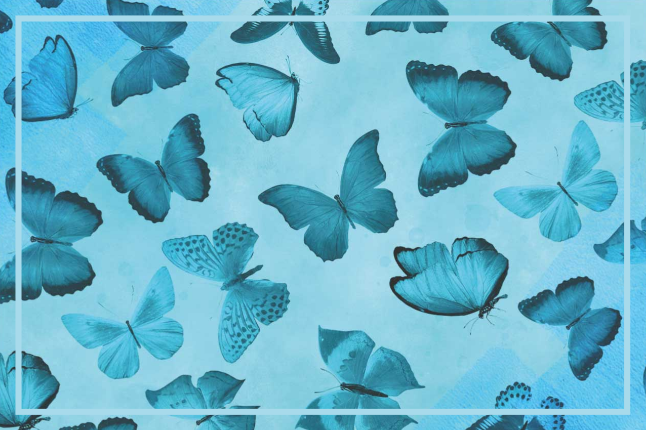 Set de table papillon sticker bleu avec - TenStickers