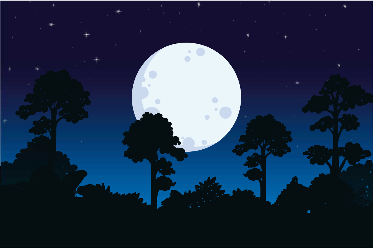 Nuit bleue avec des sets de table halloween pleine lune - TenStickers