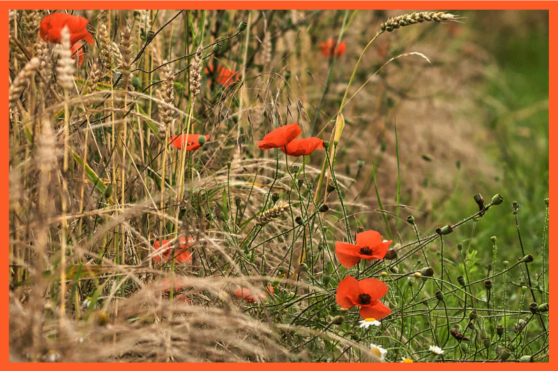 Set de table enfant arrangement alimentaire amusant - TenStickers