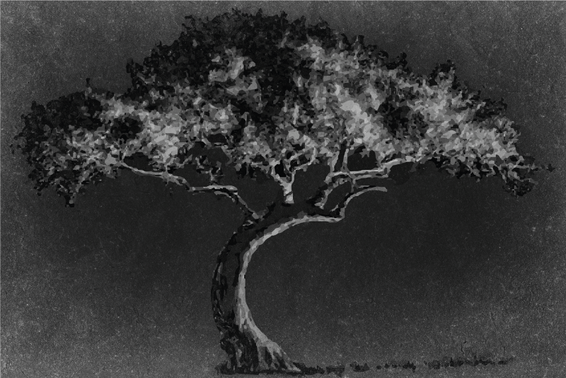 Set de table silhouette d'arbre artistique - TenStickers