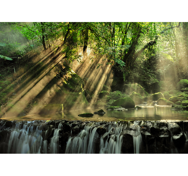 Papier peint paysage forêt secrète - TenStickers