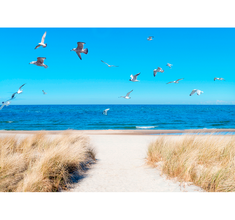 Papier peint mural coucher de soleil plage - TenStickers