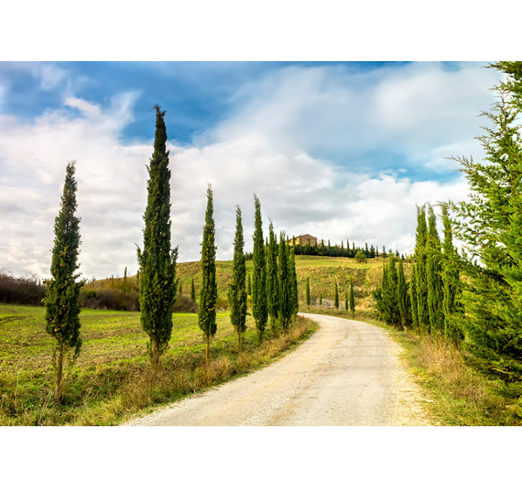 Tapisserie nature photo murale paysage colline toscane - TenStickers