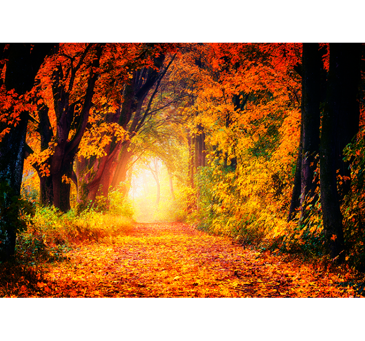 Papier peint nature chemin d'automne - TenStickers