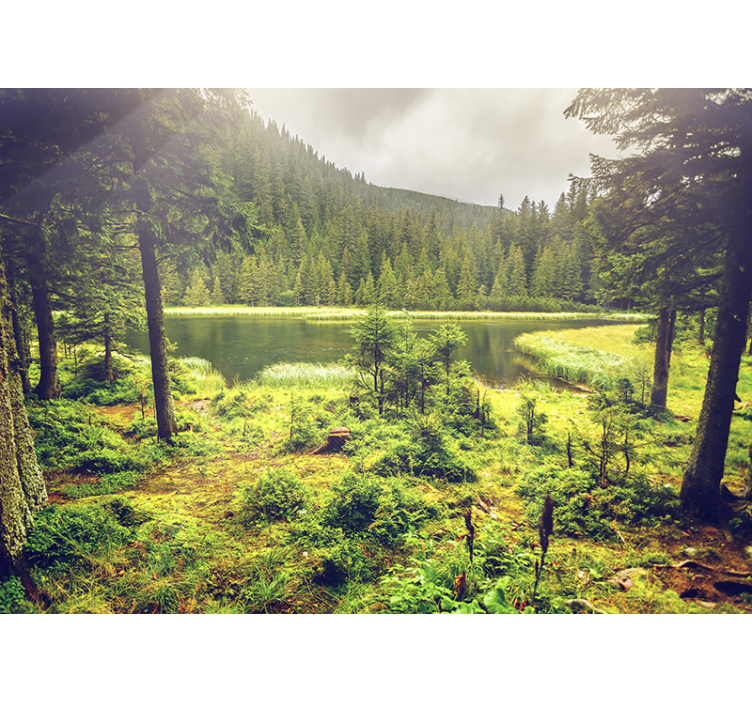 Tapisserie murale arbres verts entourant un lac - TenStickers