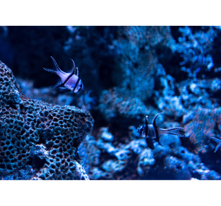 Papier peint mural mer La vie dans l'océan profond - TenStickers