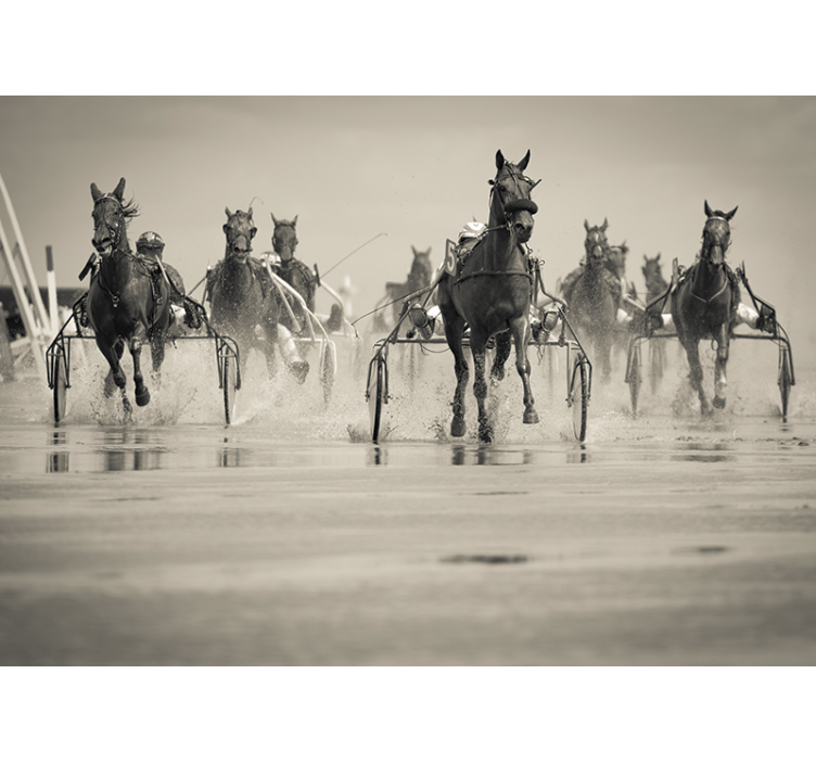 Papier peint mural d'animaux Groupe de chevaux en cours d'exécuti - TenStickers
