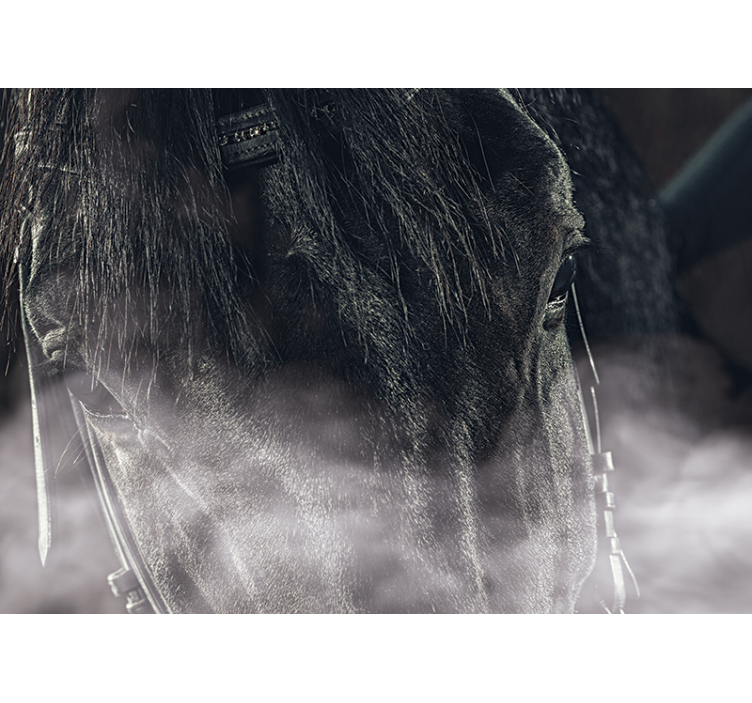 Papier peint mural d'animaux Cheval noir du brouillard - TenStickers