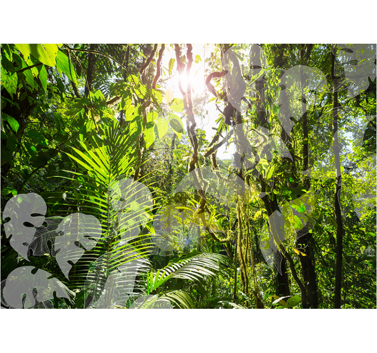 Papier peint mural forets Amazone verte - TenStickers