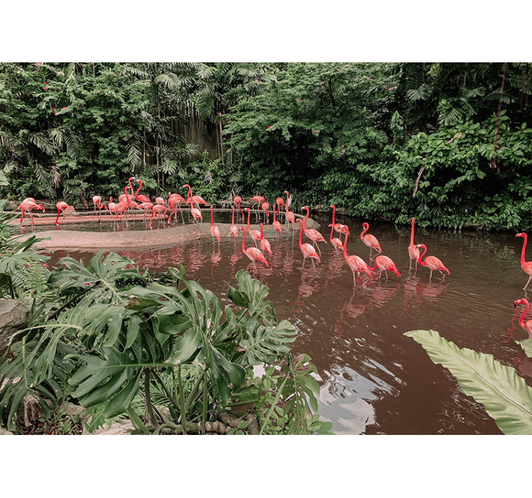 Papier peint nature Flamants roses paisibles dans un lac - TenStickers