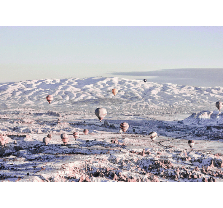 Tapisserie murale paysage scène de montgolfières - TenStickers
