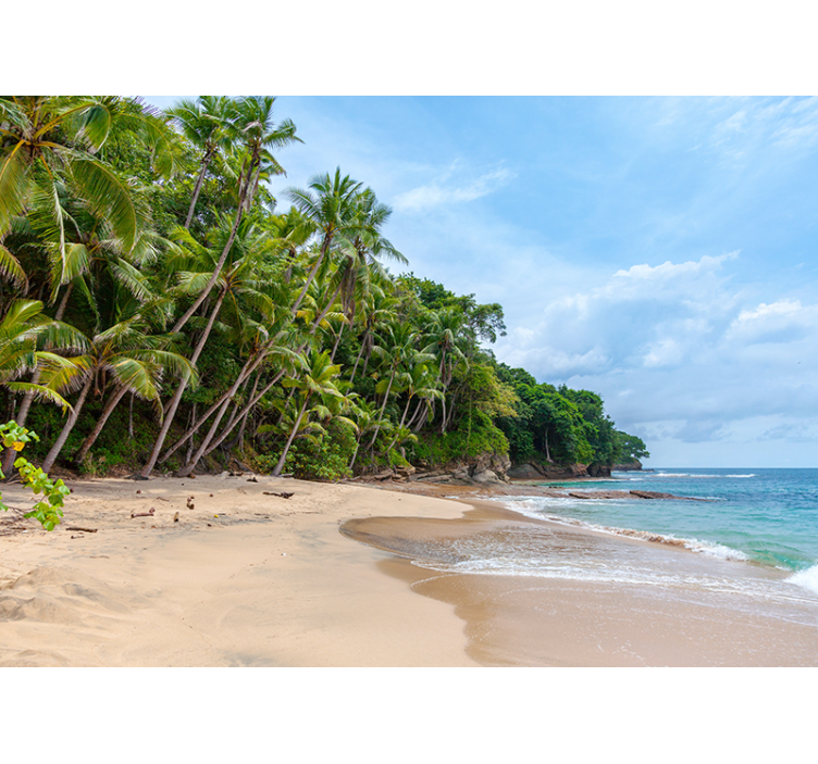 Tapisserie nature oasis tropicale de rivage - TenStickers